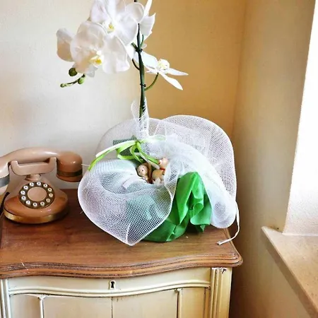 Bed & Breakfast La Bella Lucca